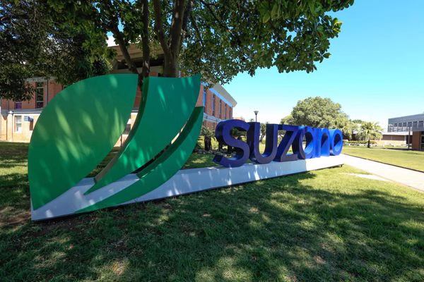 Suzano abre inscrições para curso de Operador(a) de Máquinas Florestais em São Miguel Arcanjo