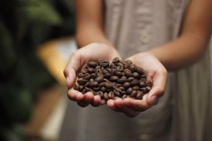 Prefeitura de Itapetininga abre inscrições para Curso de Artesanato com Folhas e Galhos, Cascas e Grãos de Café￼