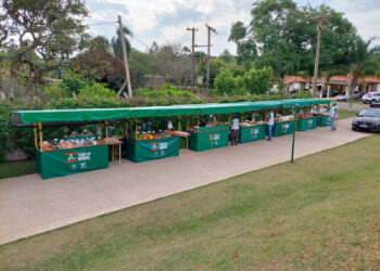Feira do Produtor Rural abre mercado para empreendedores do campo