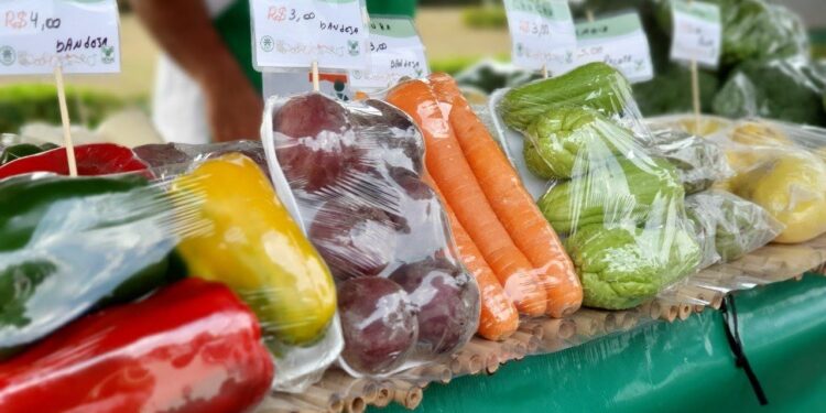 Feira Livre da avenida Peixoto Gomide em Itapetininga será realizada no sábado