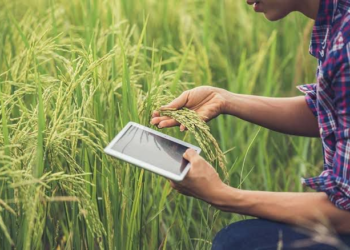 Sindicato Rural abre inscrições para cursos gratuitos em Itapetininga