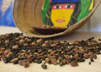 Exposição ‘NaturArte – preservar para viver’ começa no Centro Cultural de Itapetininga