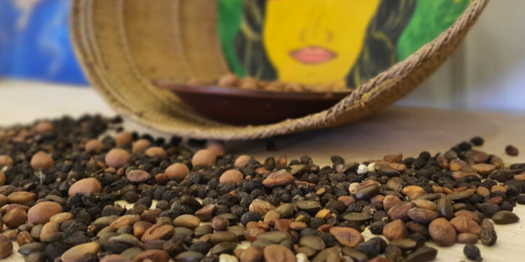 Exposição ‘NaturArte – preservar para viver’ começa no Centro Cultural de Itapetininga