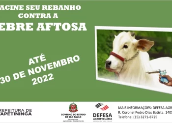 Prefeitura de Itapetininga informa que vacinação de Febre Aftosa vai até o dia 30 de novembro
