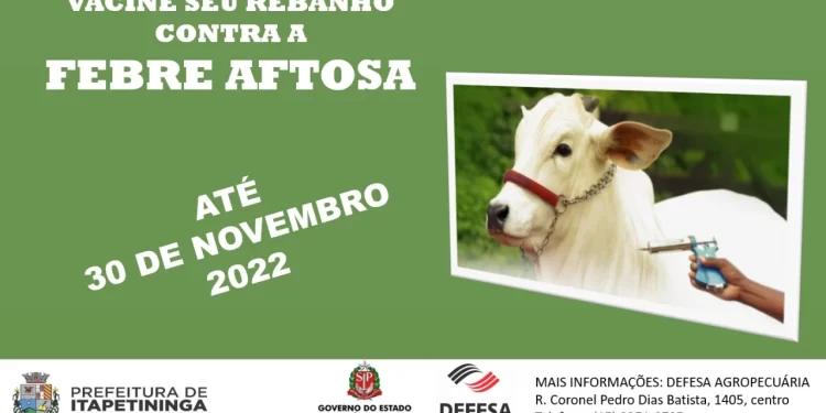 Prefeitura de Itapetininga informa que vacinação de Febre Aftosa vai até o dia 30 de novembro