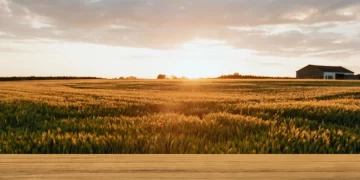 No Dia Nacional da Pecuária, Itapetininga destaca programas e ações voltados à expansão do segmento