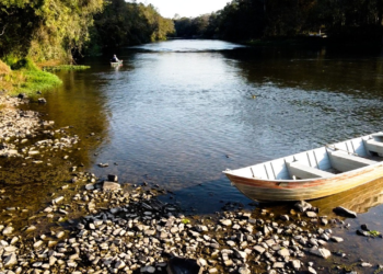 Coletivos da região concorrem a premiação pela realização de projetos ambientais