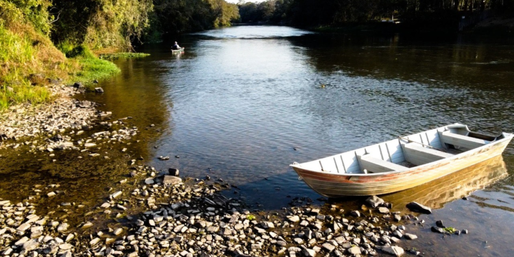Coletivos da região concorrem a premiação pela realização de projetos ambientais