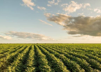 Foto: Agência Brasil