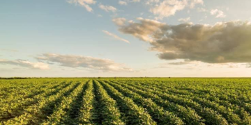 Foto: Agência Brasil