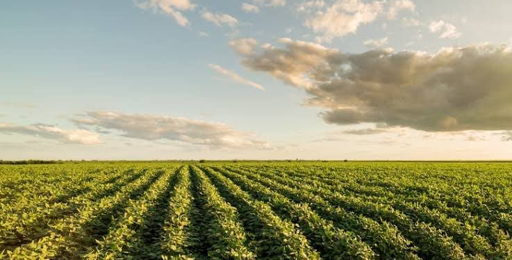 Foto: Agência Brasil