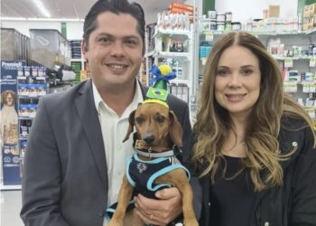 Cão “Menino Bento” enterrado vivo, que ganhou lar, completa um ano em Itapetininga