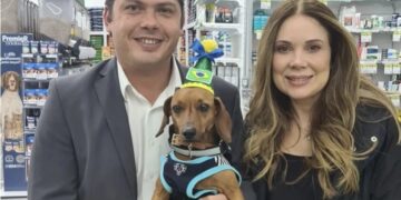 Cão “Menino Bento” enterrado vivo, que ganhou lar, completa um ano em Itapetininga