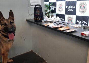 Ao realizar o rastreamento da área com o auxílio do cão farejador treinado foram encontrados escondidos na mata 40 pinos de cocaína, 35 pedras de crack e duas porções de maconha. (Divulgação/GCM Itapetininga).