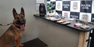 Ao realizar o rastreamento da área com o auxílio do cão farejador treinado foram encontrados escondidos na mata 40 pinos de cocaína, 35 pedras de crack e duas porções de maconha. (Divulgação/GCM Itapetininga).