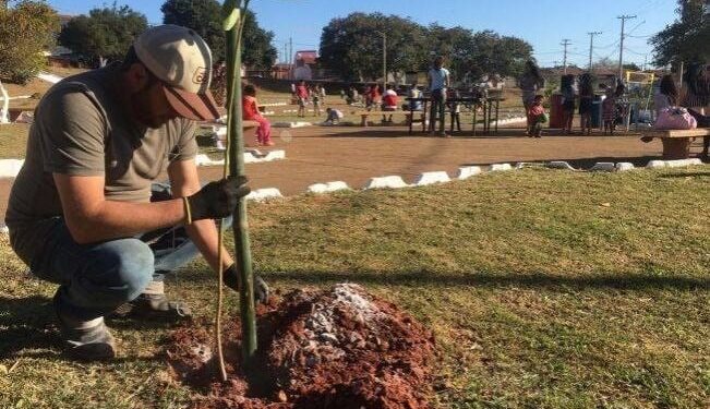 Em 2022, de acordo com a Secretaria do Meio Ambiente, foram 4.196 espécies plantadas em 12 bairros. (Divulgação/Prefeitura de Itapetininga)