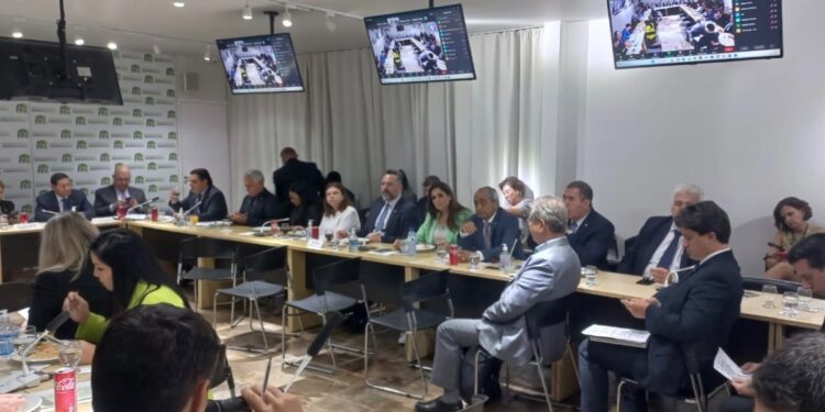 A deputada federal Simone Marquetto participou da reunião da Frente Parlamentar da Agropecuária. (Divulgação)