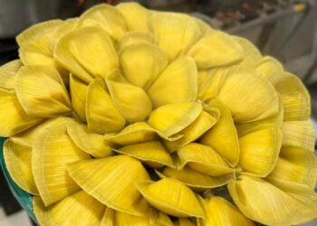 Os produtos típicos do milho à venda são curau, bolo, suco, pamonha, sopa, croquete de milho, além de churrasquinho, lanche de pernil, bolinho de frango e pizza. (Facebook/Paróquia de São Roque de Itapetininga)