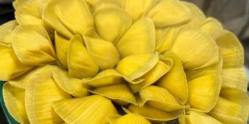 Os produtos típicos do milho à venda são curau, bolo, suco, pamonha, sopa, croquete de milho, além de churrasquinho, lanche de pernil, bolinho de frango e pizza. (Facebook/Paróquia de São Roque de Itapetininga)
