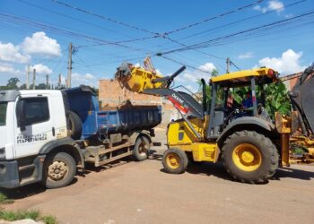 Mutirão contra a Dengue retira quase 100 toneladas de materiais e visita 1.305 imóveis na Vila Nastri I