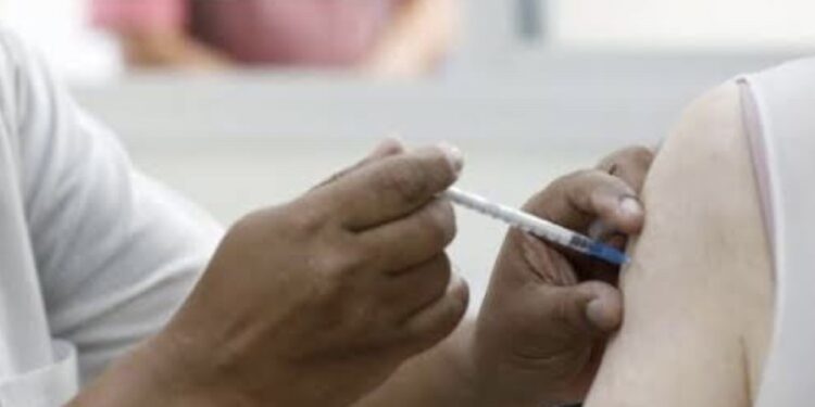 Segundo o ministério, a imunização completa é fundamental para manter a memória imunológica contra a covid-19. (Divulgação)