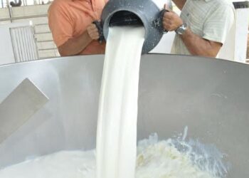 A capacitação tem o objetivo de interpretar a legislação para o processamento dos produtos derivados de leite.(Agência Brasil)