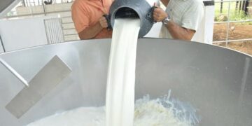 A capacitação tem o objetivo de interpretar a legislação para o processamento dos produtos derivados de leite.(Agência Brasil)