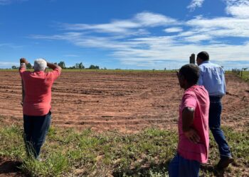 primeira etapa do projeto, que se estenderá ao longo de 2023, é recuperar solos hoje com pastagens degradadas - uma das principais fontes de emissões de gases de efeito estufa no País. (Divulgação)