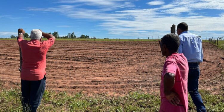 primeira etapa do projeto, que se estenderá ao longo de 2023, é recuperar solos hoje com pastagens degradadas - uma das principais fontes de emissões de gases de efeito estufa no País. (Divulgação)