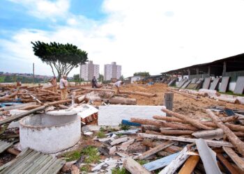 Um dos galpões de animais precisou ser demolido após ter a estrutura comprometida. (William Furtado/Cidade Itapetininga)