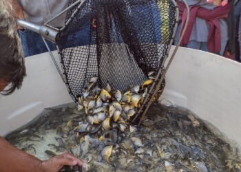 A atividade faz parte de uma série de eventos em comemoração ao Dia Mundial da Água. (Divulgação/Sabesp)