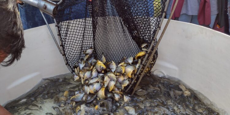 A atividade faz parte de uma série de eventos em comemoração ao Dia Mundial da Água. (Divulgação/Sabesp)