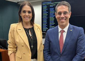A deputada federal Simone Marquetto (MDB-SP) integrará três comissões na Câmara dos Deputados. (Divulgação)