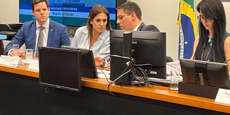 A deputada federal Simone Marquetto (MDB-SP). (Divulgação)