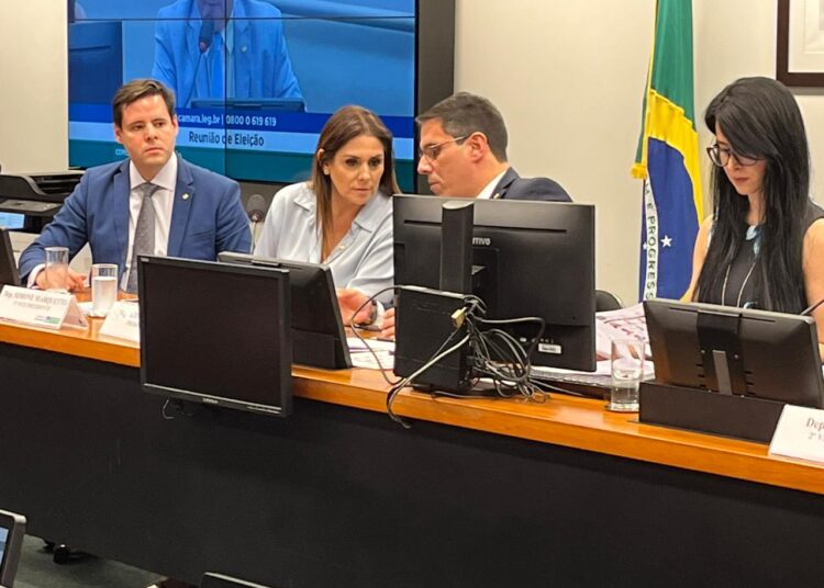 A deputada federal Simone Marquetto (MDB-SP). (Divulgação)