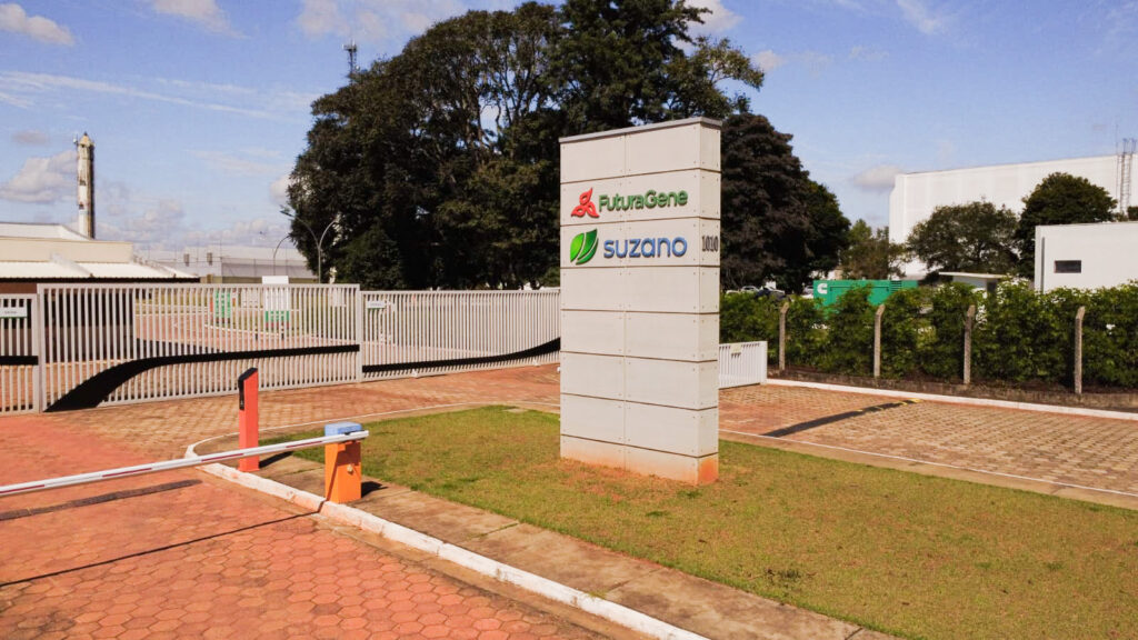 A Suzano é a maior produtora mundial de celulose, uma das maiores produtoras de papel da América Latina e referência no desenvolvimento de soluções sustentáveis e inovadoras de origem renovável. (William Furtado)