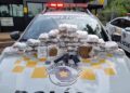 Ao vistoriar a bagagem do passageiro da poltrona 39 foram localizados diversos invólucros contendo "Skunk". (Divulgação/Polícia Rodoviária)