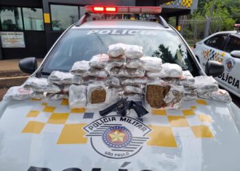 Ao vistoriar a bagagem do passageiro da poltrona 39 foram localizados diversos invólucros contendo "Skunk". (Divulgação/Polícia Rodoviária)