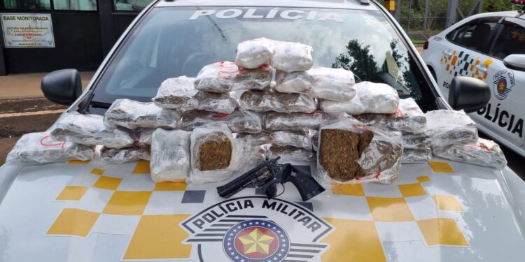 Ao vistoriar a bagagem do passageiro da poltrona 39 foram localizados diversos invólucros contendo "Skunk". (Divulgação/Polícia Rodoviária)