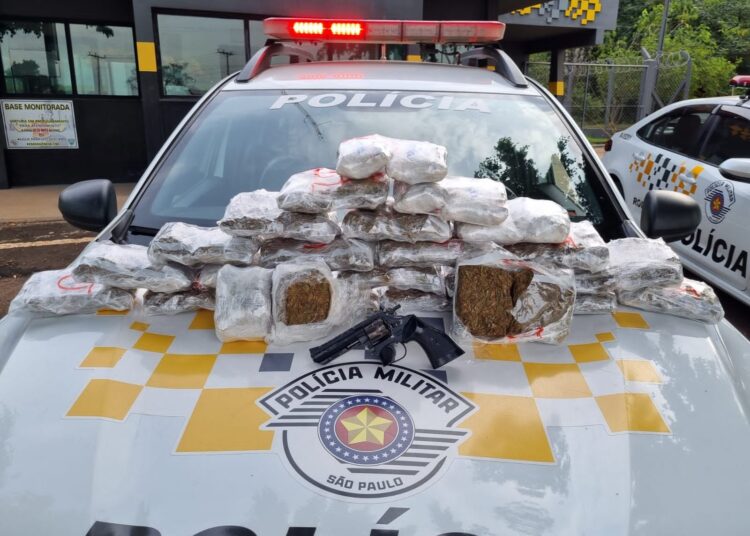 Ao vistoriar a bagagem do passageiro da poltrona 39 foram localizados diversos invólucros contendo "Skunk". (Divulgação/Polícia Rodoviária)