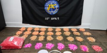 Segundo a PM, além dos pinos de cocaina, foram aprendidos microtubos para acondicionamento da droga e balanças. (Divulgação/ Polícia Militar)