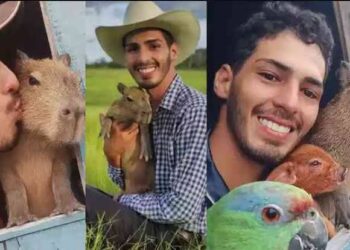 O animal, apelidado de Filomena, era protagonista em muitos vídeos, seja nadando com Agenor, descansando, acompanhando as atividades ou comendo capim. (Foto: Instagram)