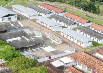 Leilão Solidário marca a abertura da 50ª ExpoAgro em Itapetininga