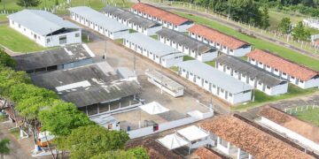 Leilão Solidário marca a abertura da 50ª ExpoAgro em Itapetininga
