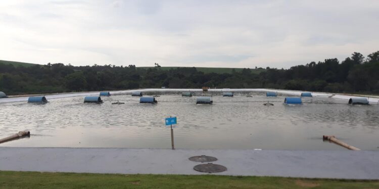 Lagoa de tratamento de esgoto do Distrito do Rechã. (Divulgação)