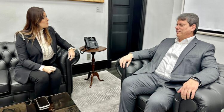 A deputada federal Simone Marquetto (MDB) conversa com o governador de São Paulo. (Divulgação)