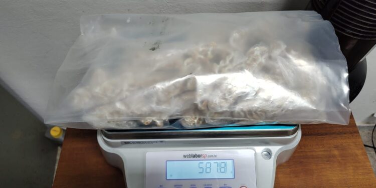 Dentro do quarto do suspeito foram encontradas sacolas com 2.100 porções de crack. (Divulgação/Polícia Civil)