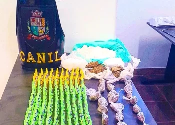 Todo o material foi apreendido e levado ao Plantão Policial onde foi registrado Boletim de Ocorrência de Localização / Apreensão de Objetos. (Divulgação)