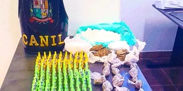 Todo o material foi apreendido e levado ao Plantão Policial onde foi registrado Boletim de Ocorrência de Localização / Apreensão de Objetos. (Divulgação)
