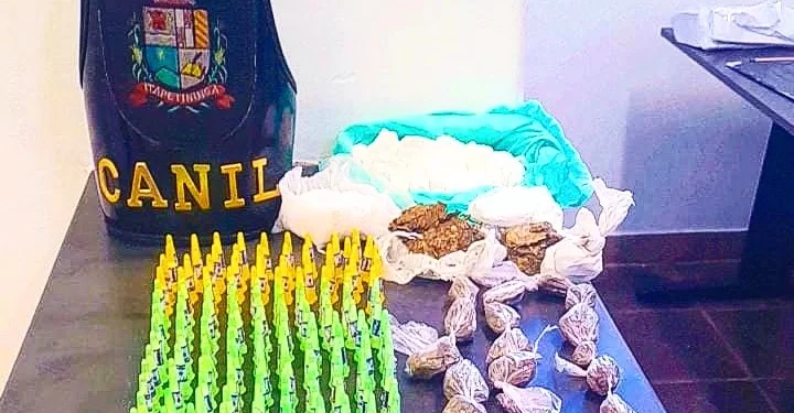 Todo o material foi apreendido e levado ao Plantão Policial onde foi registrado Boletim de Ocorrência de Localização / Apreensão de Objetos. (Divulgação)